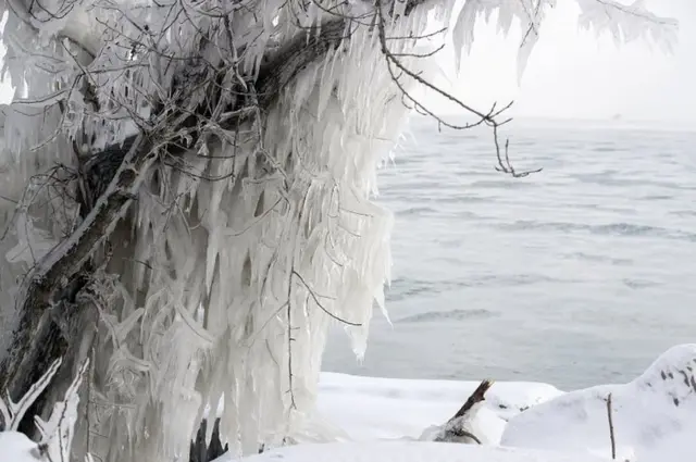 पोलर वोर्टेक्स, polar vortex, US Cold