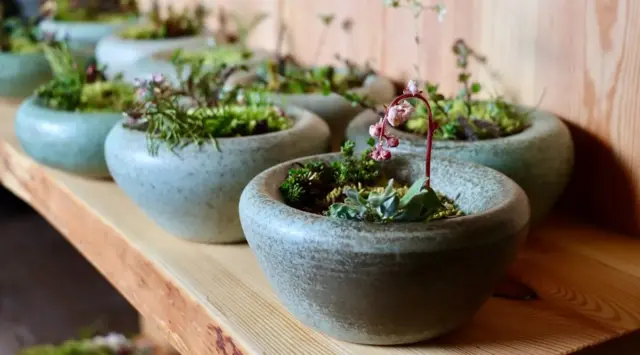 U Koksu, glavni kuvar Pol Andrijas Ziska se opredelio za održivu hranu koja se nabavlja lokalno