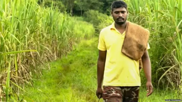 प्रातिनिधिक फोटो