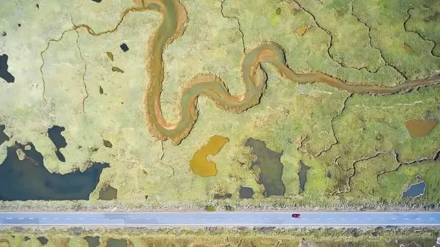 JAVIER LAFUENTE / WPY