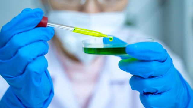 Cientista segura uma placajogo loto onlinepetri