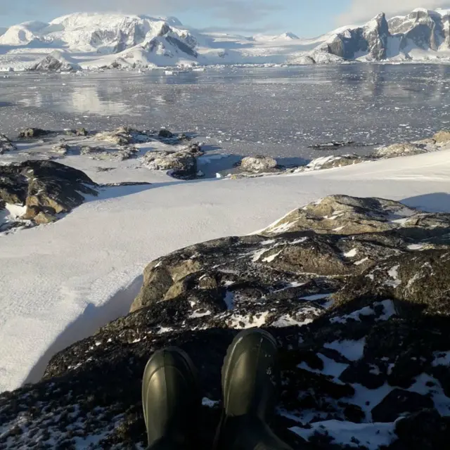 В Антарктиці