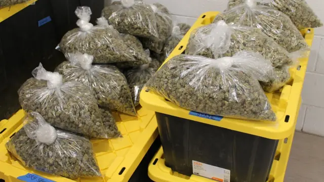 กัญชาบรรจุในถุง