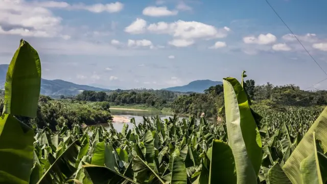 Quilombo do Abobral