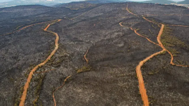 حرائق الغابات في تركيا