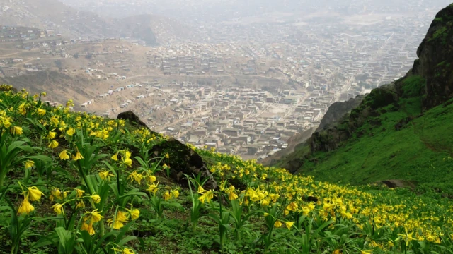 As colinas com flores e o urbanismo no Peru