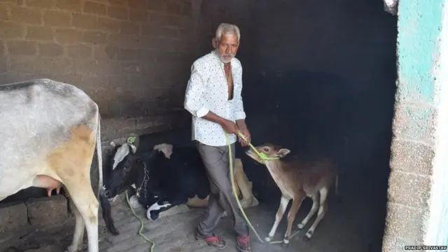 પ્રતીકાત્મક તસવીર