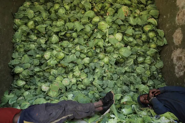 Masu tallan kabeji suna yin bacci a yayin da suke jiran kwastomomi a kasuwar kayan marmari da ke Addis Ababa, babban birnin Ethiopia, ranar Juma'a.