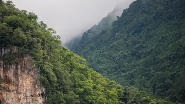 ชาวเน็ตไม่พอใจ พล.ต.อ. ศรีวราห์ กำชับข้อกฎหมาย จนท. กู้ภัยถ้ำหลวง