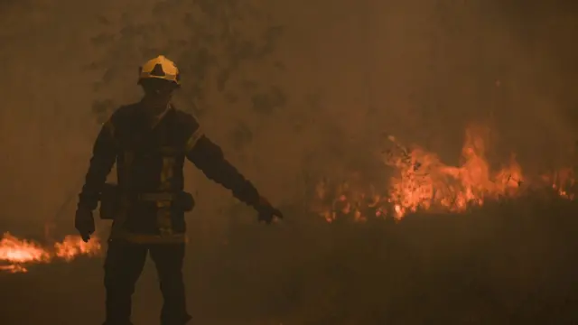 Kebakaran di Gironde akibat cuaca panas ekstrem