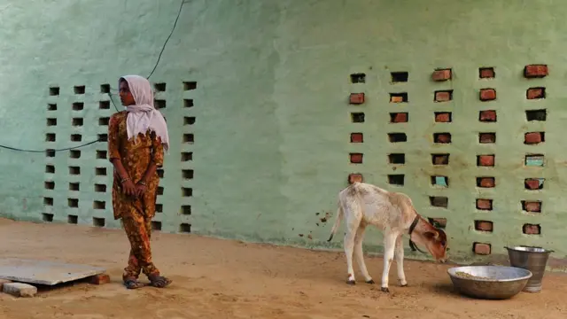 রাজস্থানের একটি গ্রাম