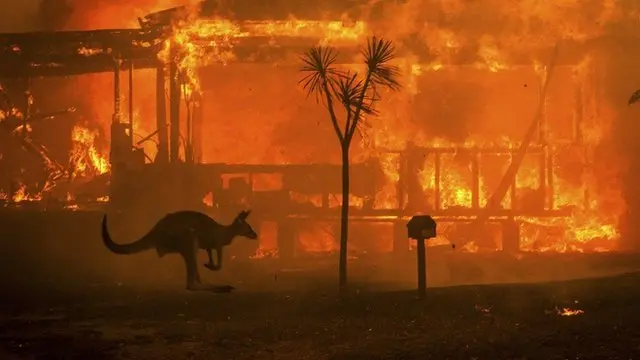 Australian bushfire 2019 - 2020