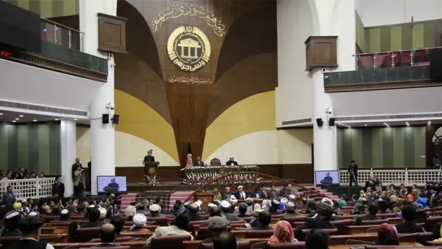 د ولسي جرګې ۲۵۰ غړي لري او له هر ولایته یې شمېر معلوم دی.