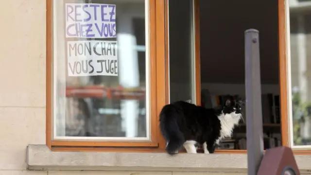 Кот на подоконнике в Париже
