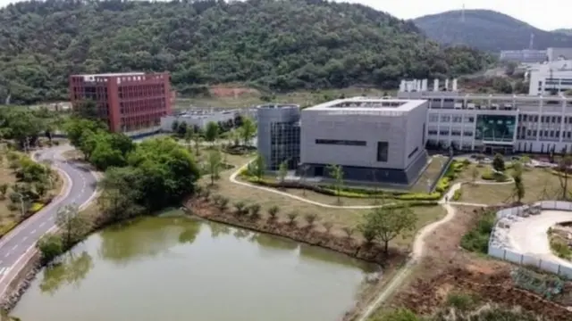 ووہان، کورونا وائرس