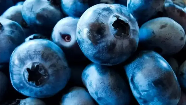 blueberry
