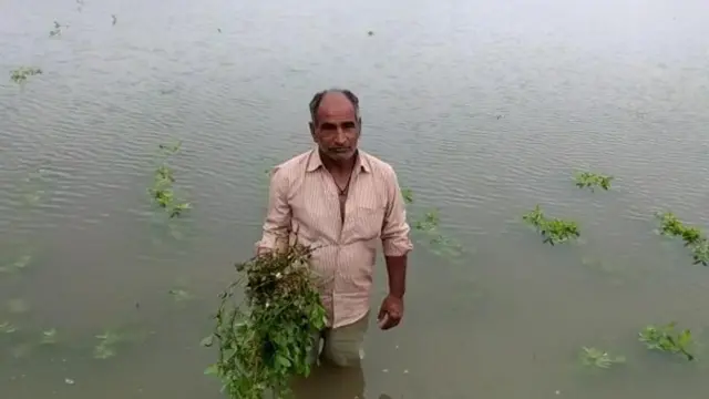 વરસાદનું પાણી