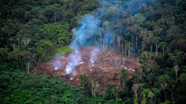 Desforestación ilegal en el Parque Nacional La Macarena, en el Departamento del Meta, en septiembre de 2020