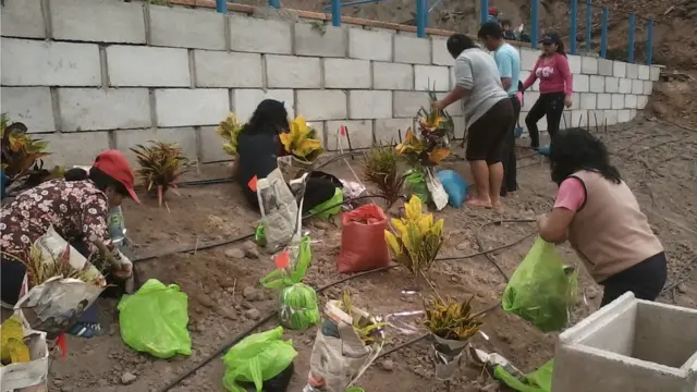 Vecinas plantando un jardín en el parque central