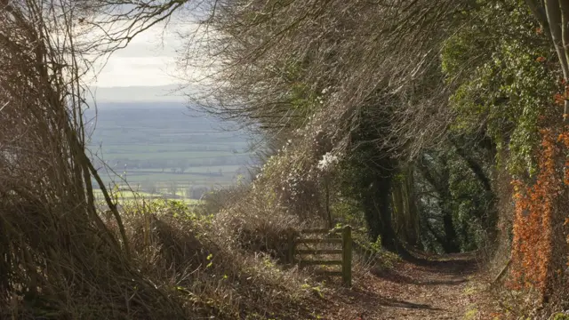 Холм Бредон Хилл в Вустершире