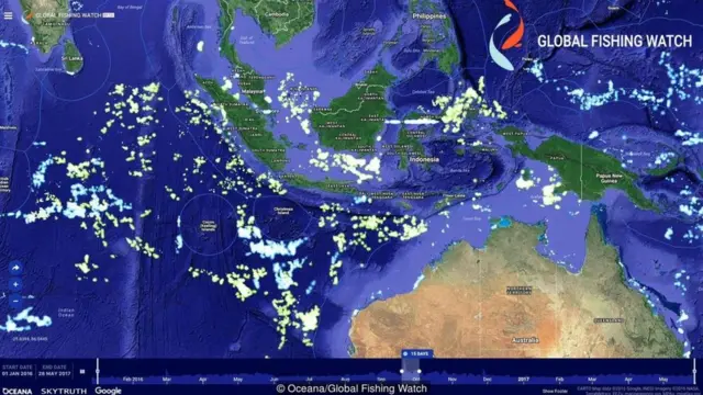 Oceana/Global Fishing Watch