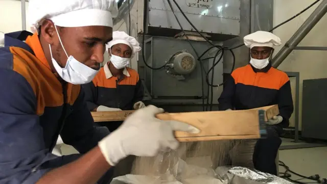 Dhaabbatichi akkasiin namootaaf hojii uume