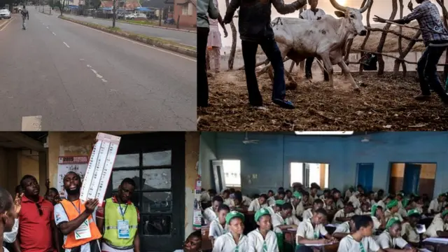 Okporoụzọ chakoo/ehi/ụmụakwụkwọ