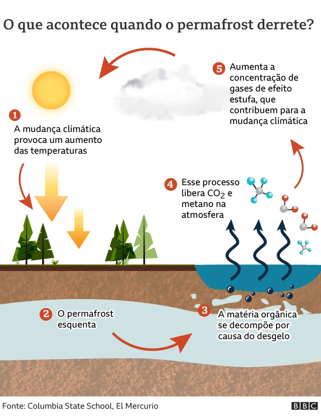 Gráfico mostrando o que acontece quando o permafrost derrete