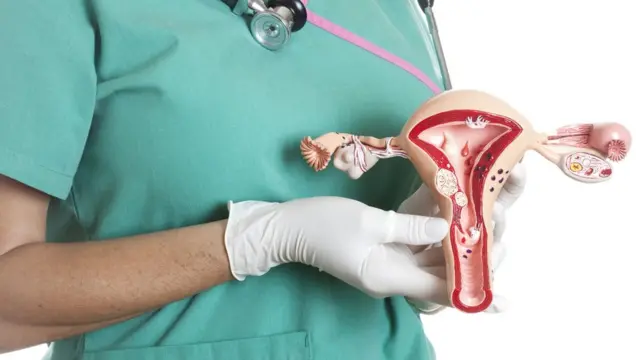 Système reproductif féminin