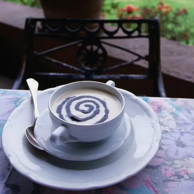 Sopa de maíz con salsa de huitlacoche