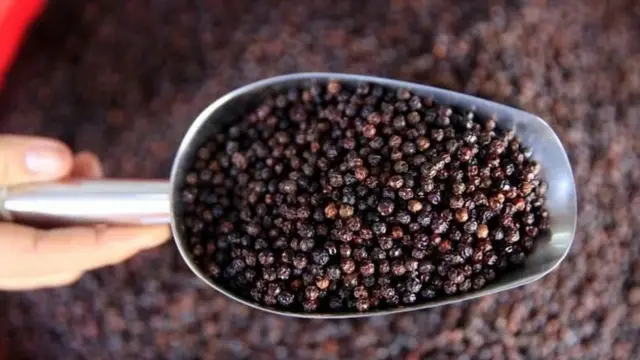 ભારતમાં આજે પણ પૂરતા પ્રમાણમાં આર્યુવેદિક ડૉક્ટર નથી.