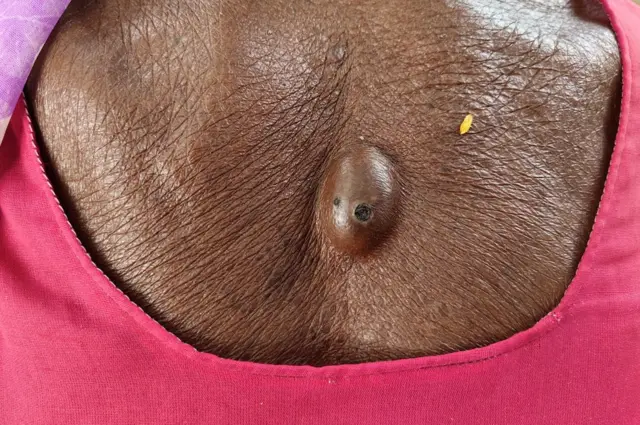 కడప యురేనియం ప్రాజెక్టు