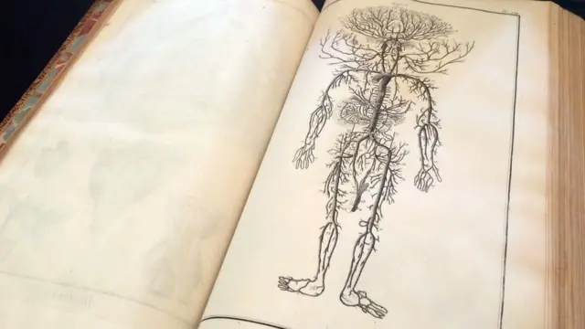 Anatomía de Diderot