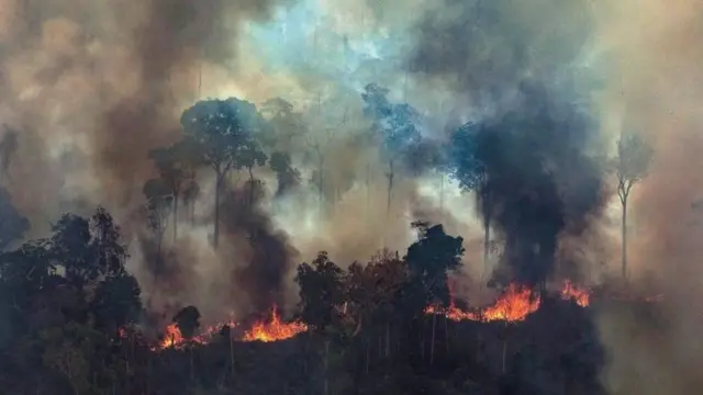 Incêndio na Amazônia