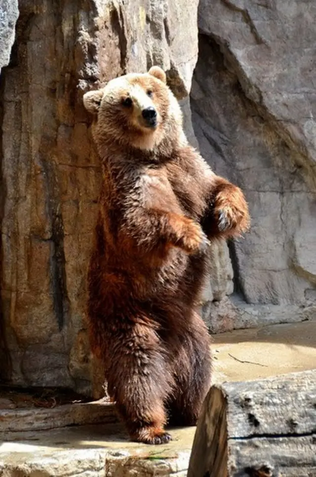 Alura Jenson porno video