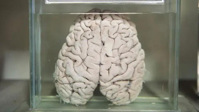 தீவிர மன அழுத்தம் ஏன் இருதய நோய்க்கு வழிவகுக்கிறது : மருத்துவர்கள் கண்டுபிடிப்பு