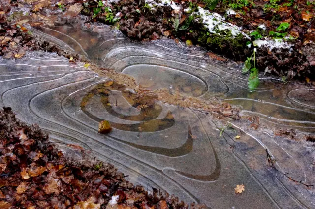 "Оттенки осени"