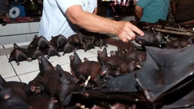 ইন্দোনেশিয়ার একটি বাজারে বাদুড় বিক্রি হচ্ছে।