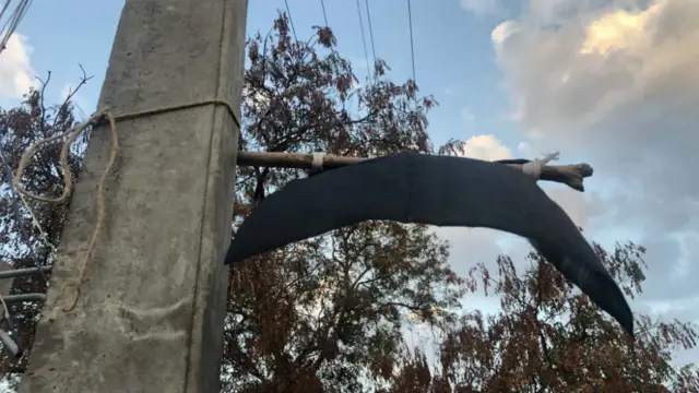 கறுப்புக்கொடி