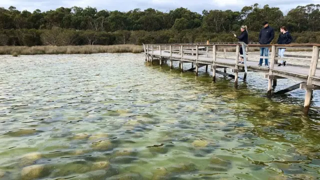 Trombólitos vistoscomo ganhar dinheiro roleta onlinepassarela sobre o Lago Clifton