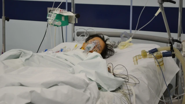 Mərkəzi Neftçilər Xəstəxanasında 2008-ci ildən bu günə qədər 294 böyrək, 96 qaraciyər köçürülməsi əməliyyatı aparılıb