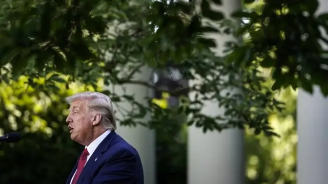 دونالد ترامپ