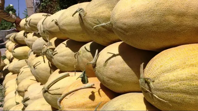 افغانستان