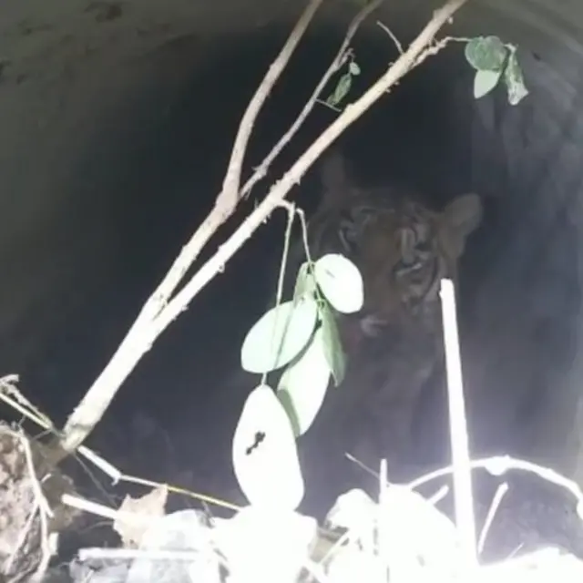 चंद्रपूर