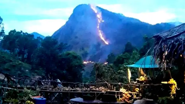 ella fire