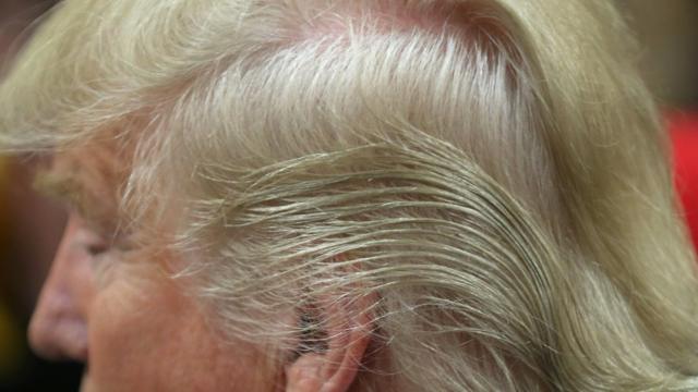 Donald trump wig outlet for sale