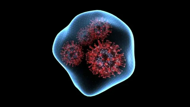 કોરોના વાઇરસ