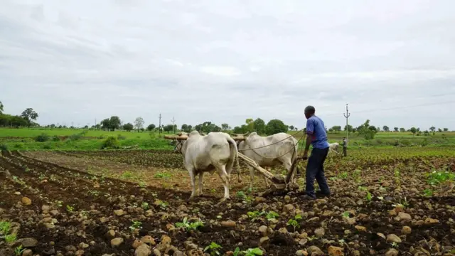 ஏர் உழுவது