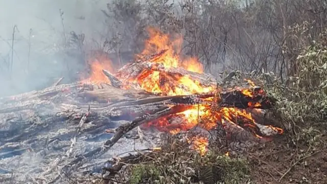 Ekologiya və Təbii Sərvətlər Nazirliyi