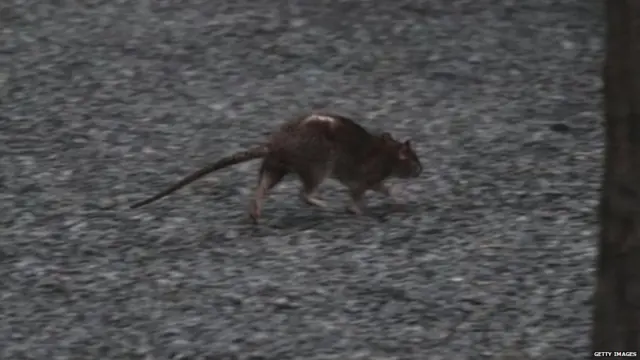 ਕੋਰੋਨਾਵਾਇਰਸ